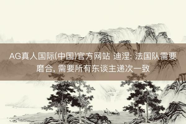 AG真人国际(中国)官方网站 迪涅: 法国队需要磨合, 