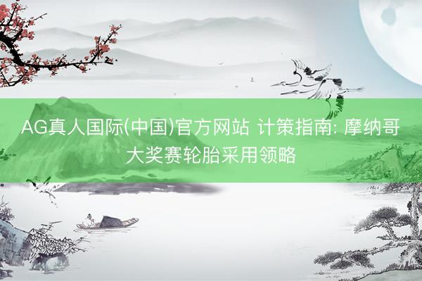AG真人国际(中国)官方网站 计策指南: 摩纳哥大奖赛轮