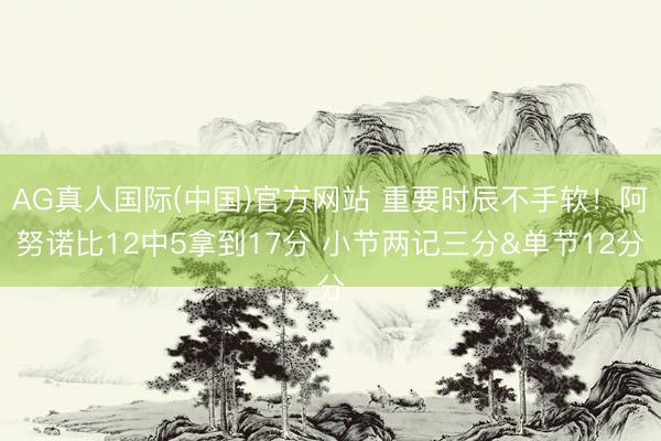 AG真人国际(中国)官方网站 重要时辰不手软！阿努诺比12中5拿到17分 小节两记三分&单节12分