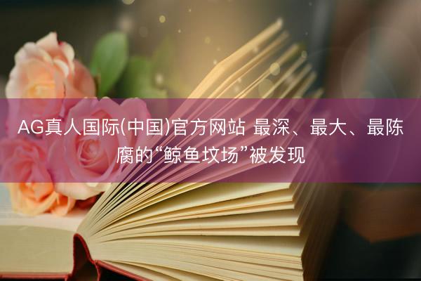 AG真人国际(中国)官方网站 最深、最大、最陈腐的“鲸鱼坟场”被发现