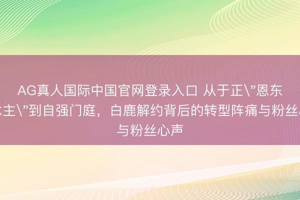 AG真人国际中国官网登录入口 从于正