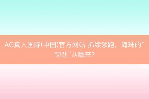 AG真人国际(中国)官方网站 抓续领跑,海珠的“韧劲”从哪来?